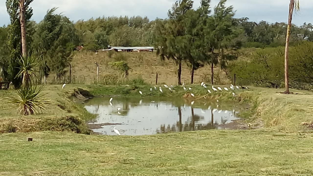 הוילה Gualeguaychú Dreams Rest מראה חיצוני תמונה